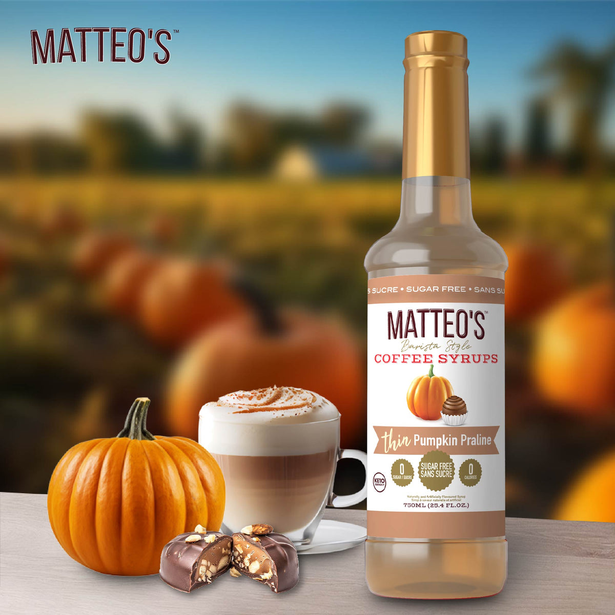 Sirop de café sans sucre, Praliné Citrouille